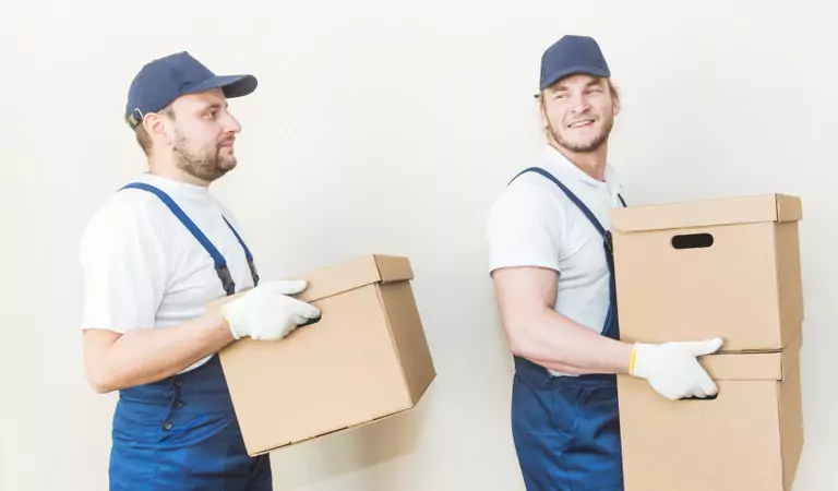 professionals with cardboard boxes doing the job