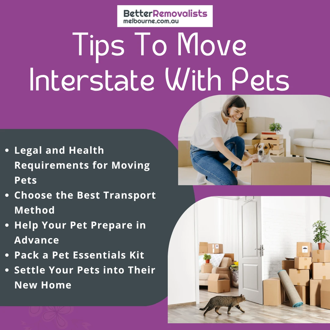 Tips To Move Interstate With Pets